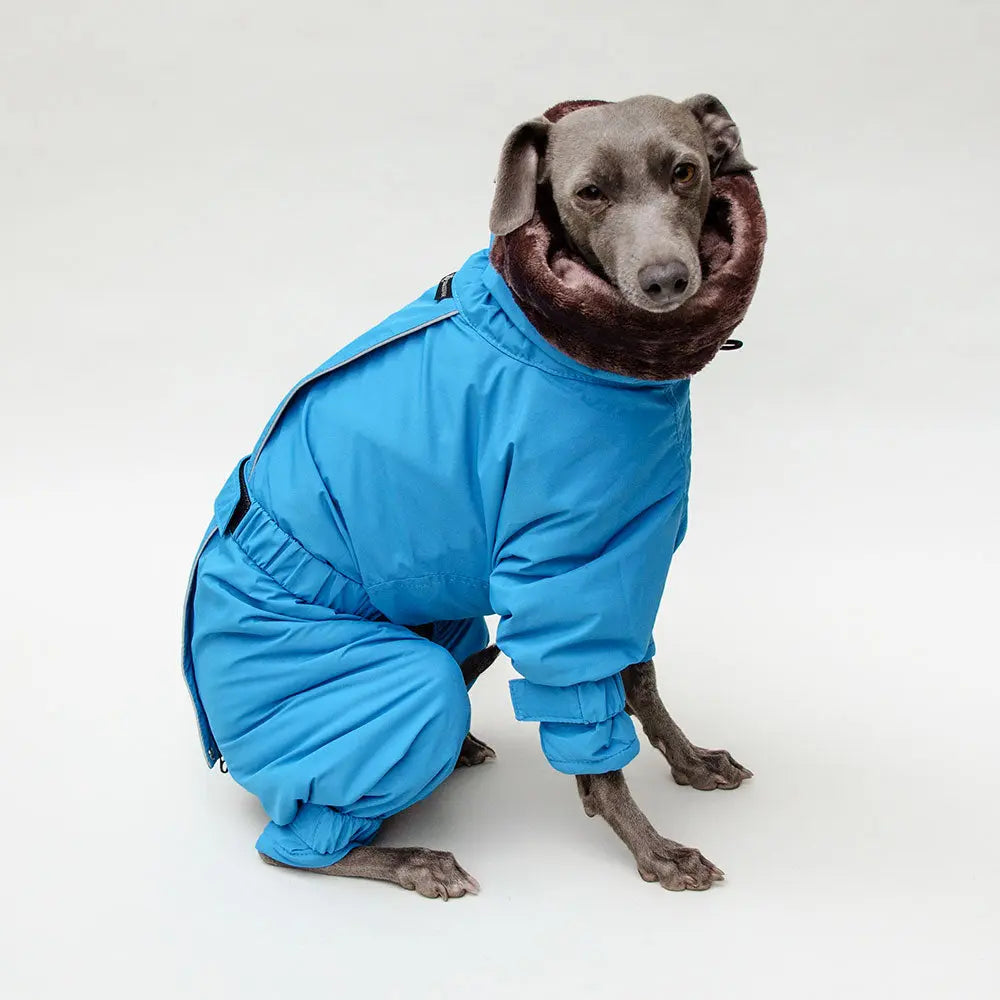 Kelly IG Snow - winter Hundeoverall - blue - SDW 4legs.de