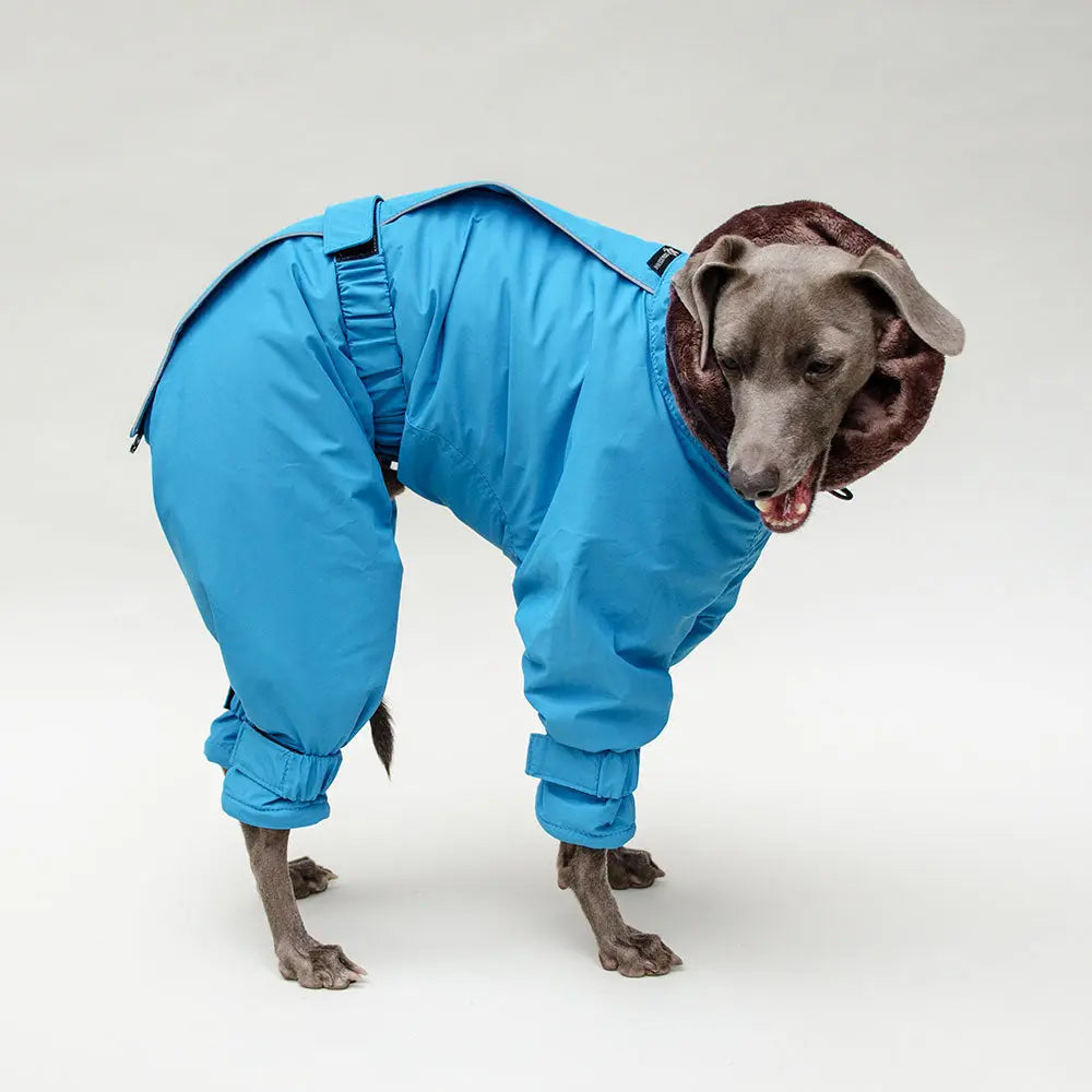 Kelly IG Snow - winter Hundeoverall - blue - SDW 4legs.de