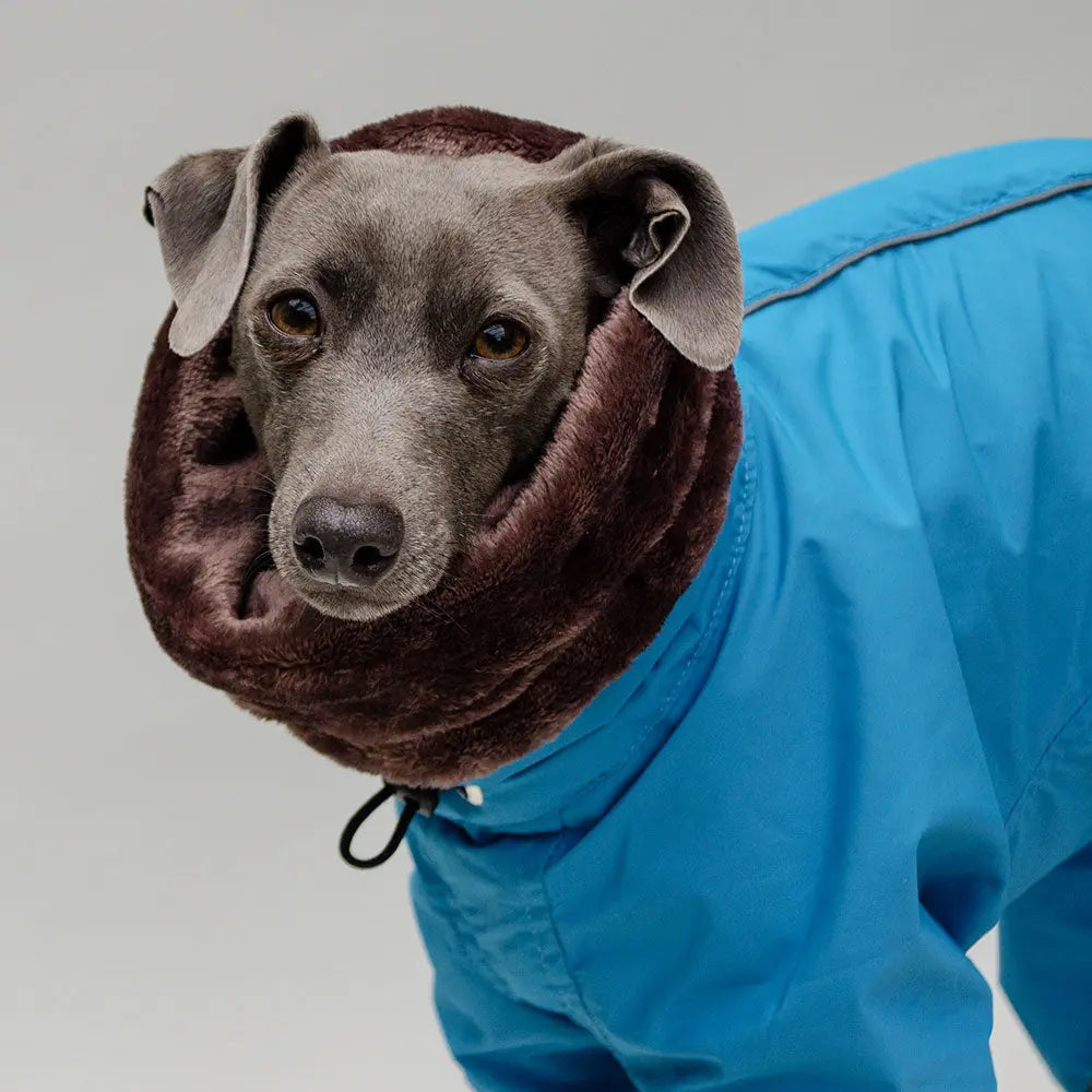 Kelly IG Snow - winter Hundeoverall - blue - SDW 4legs.de