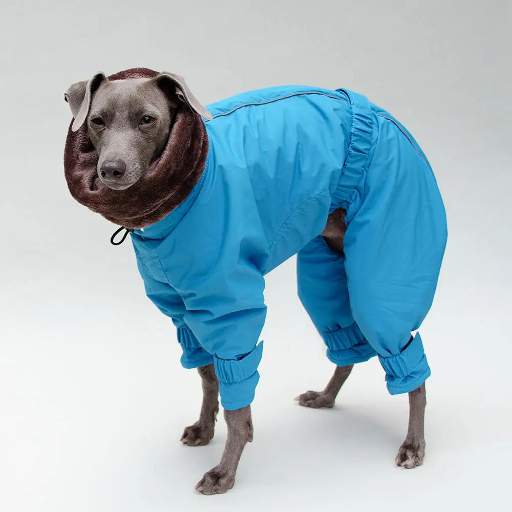 Kelly IG Snow - winter Hundeoverall - blue - SDW 4legs.de