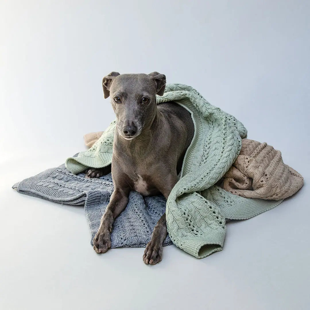 Kuscheldecke für Hunde "BabySoft" 4legs.de