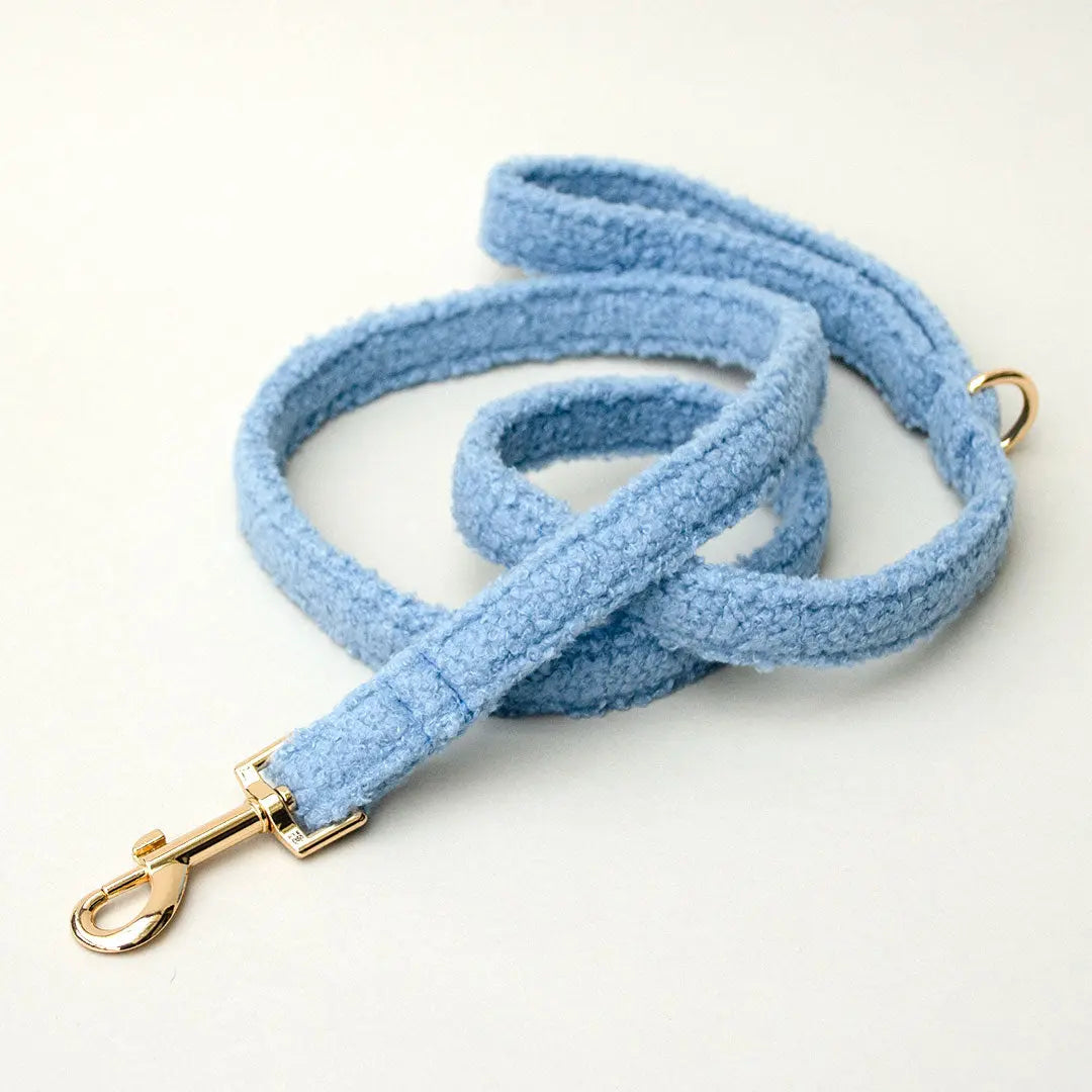 Kuschelige Hundeleine „Teddybaer“ - bleu 4legs.de