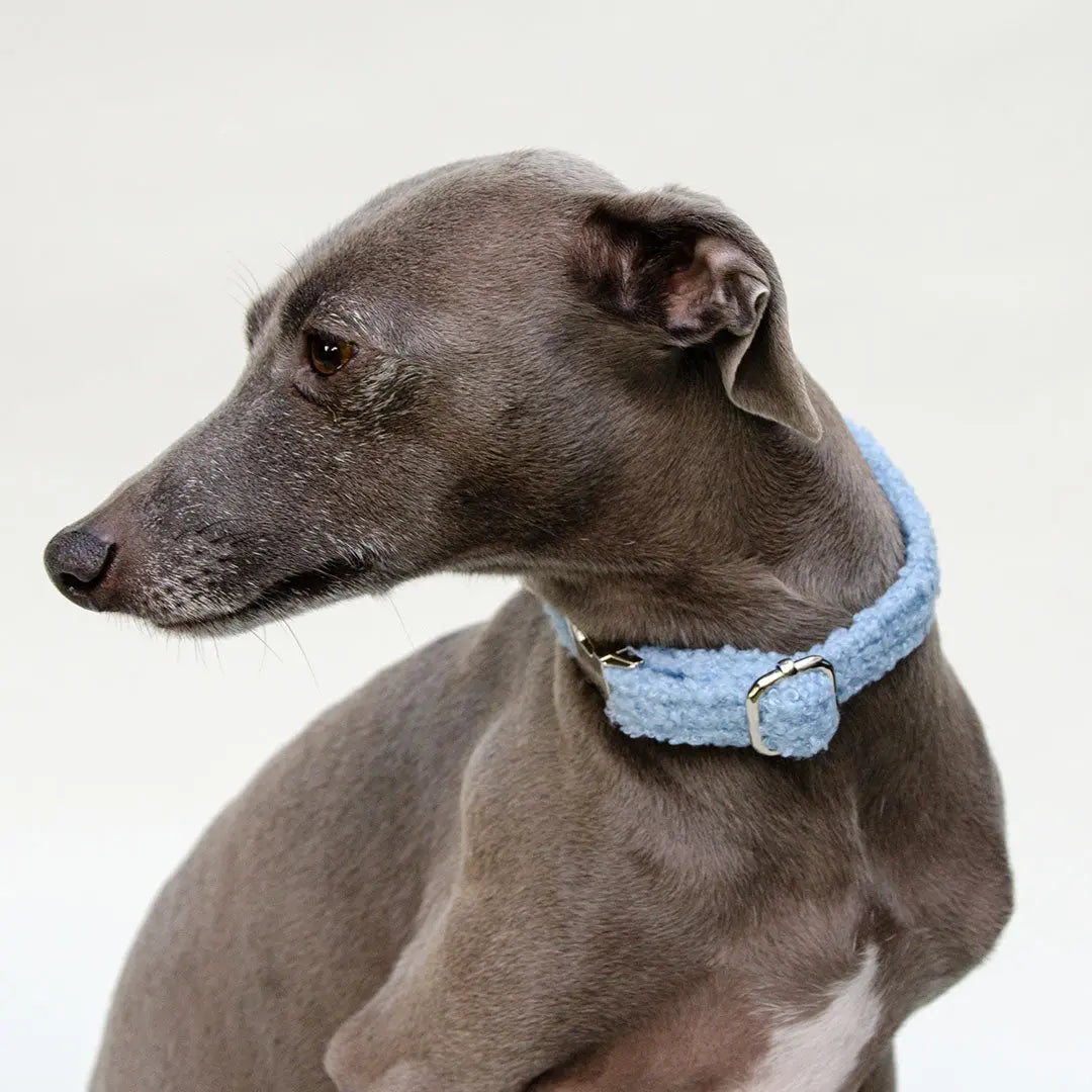 Kuscheliges Halsband „Teddybaer“  bleu 4legs.de