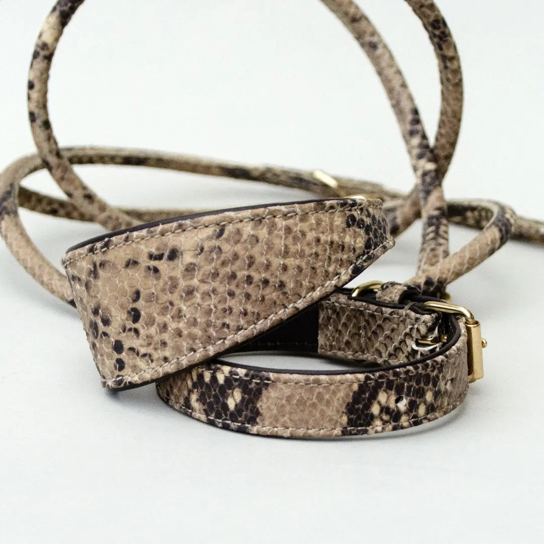 Lederhalsband mit Polsterung "Fake-Snake" 4legs.de