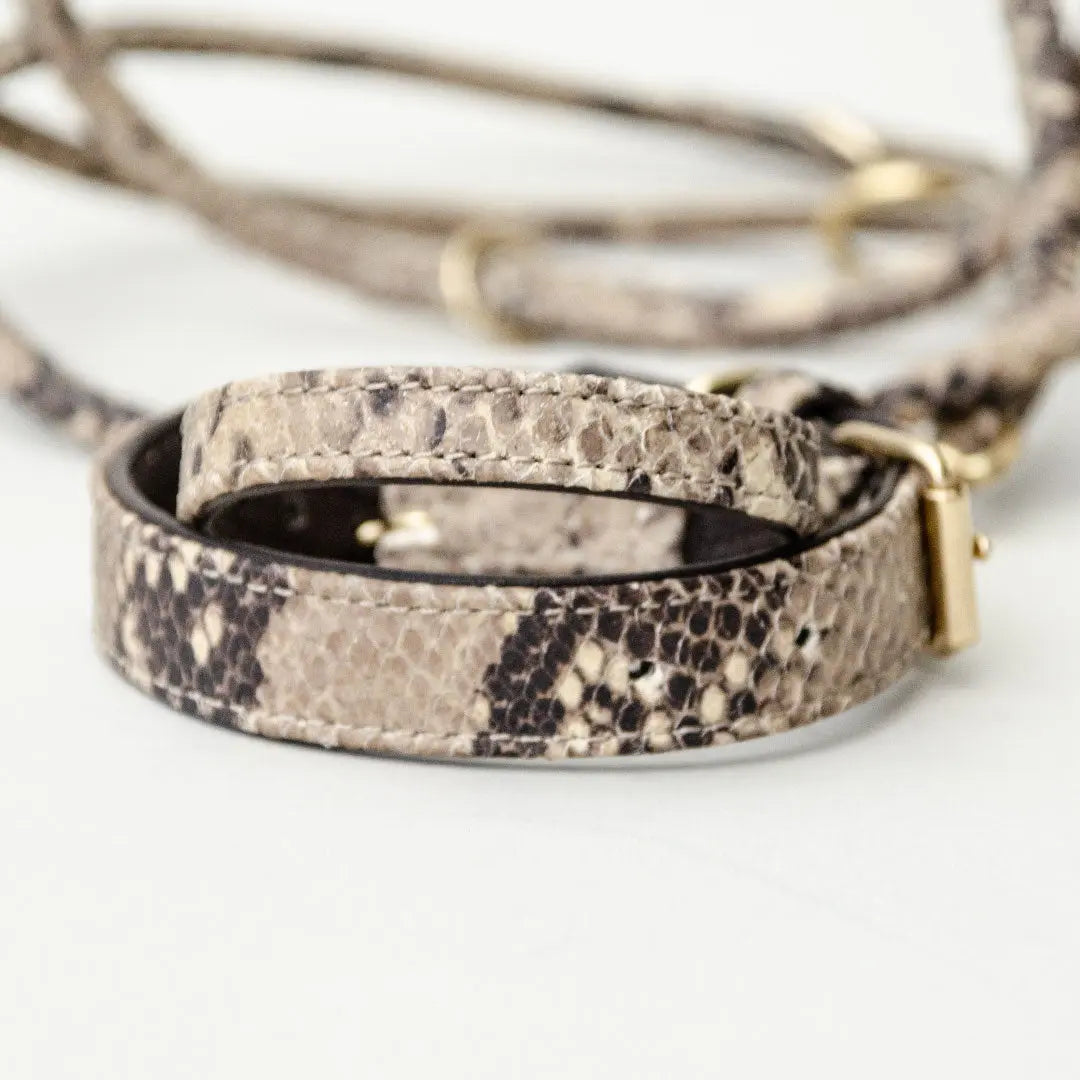 Lederhalsband mit Polsterung "Fake-Snake" 4legs.de