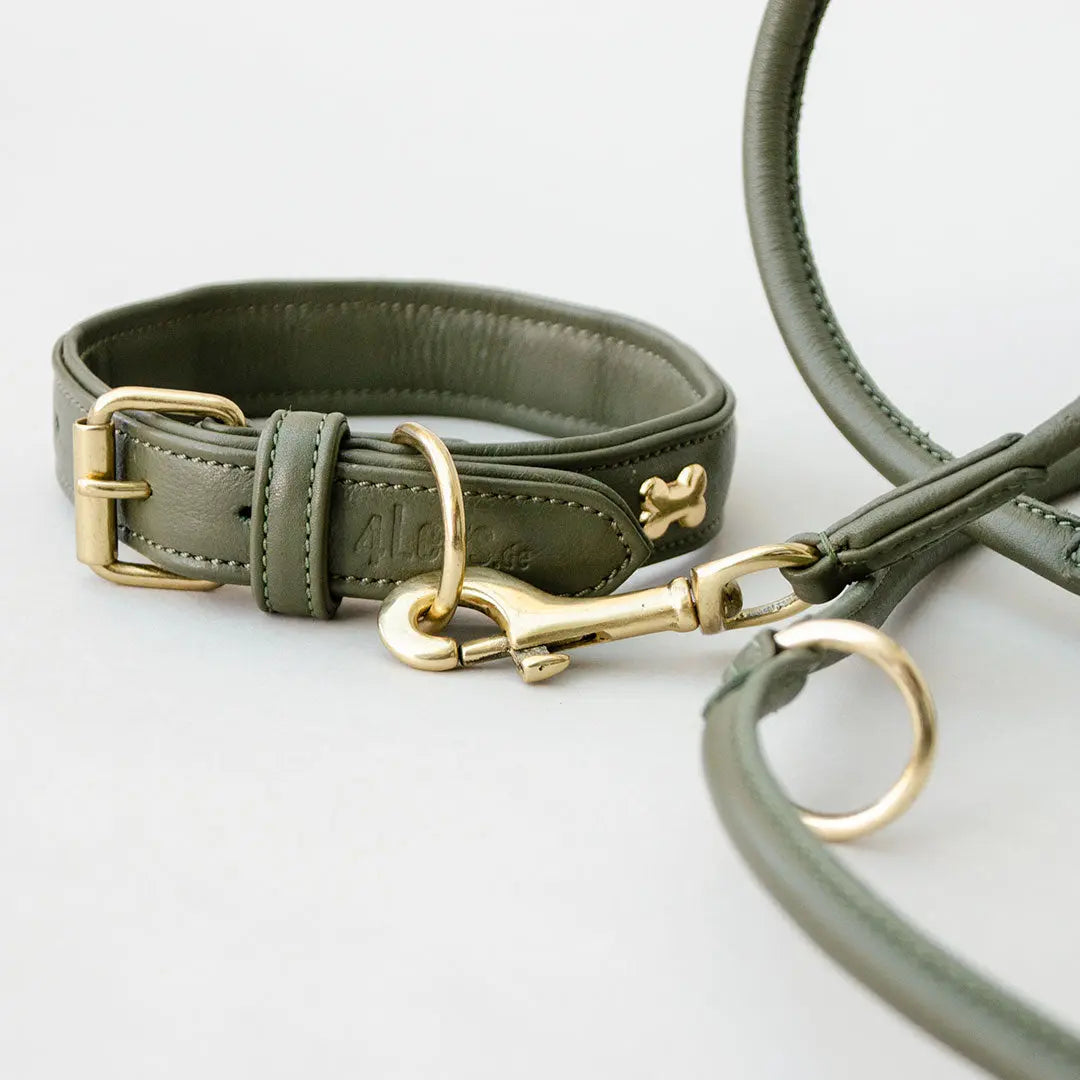 Lederhalsband mit Polsterung "Golden Bone" - Oliv 4legs.de