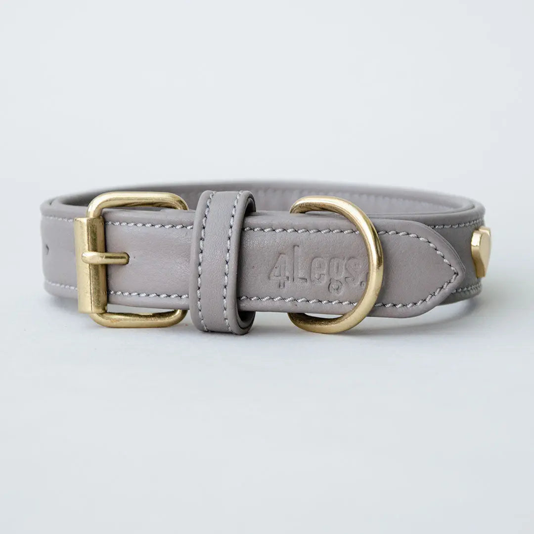 Lederhalsband mit Polsterung "Heart of Gold" - Grey 4legs.de