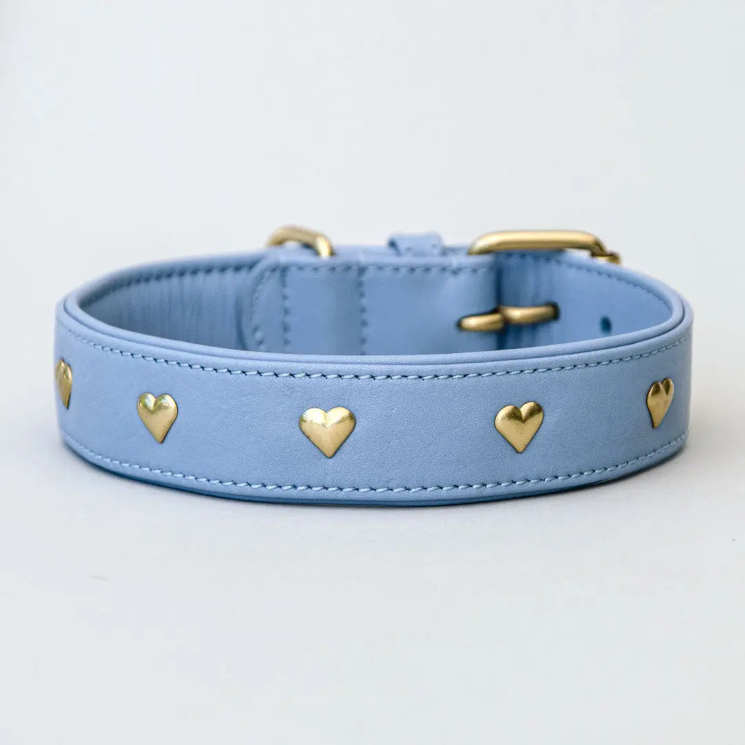 Lederhalsband mit Polsterung "Heart of Gold" - bleu 4legs.de