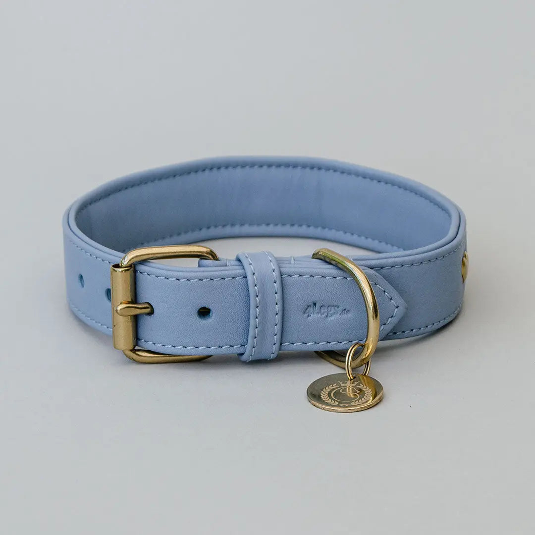 Lederhalsband mit Polsterung "Heart of Gold" - bleu 4legs.de