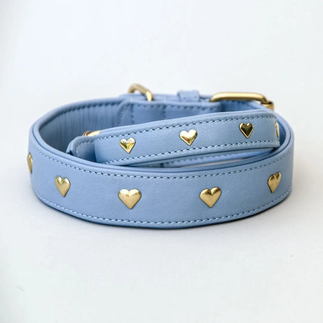 Lederhalsband mit Polsterung "Heart of Gold" - bleu 4legs.de