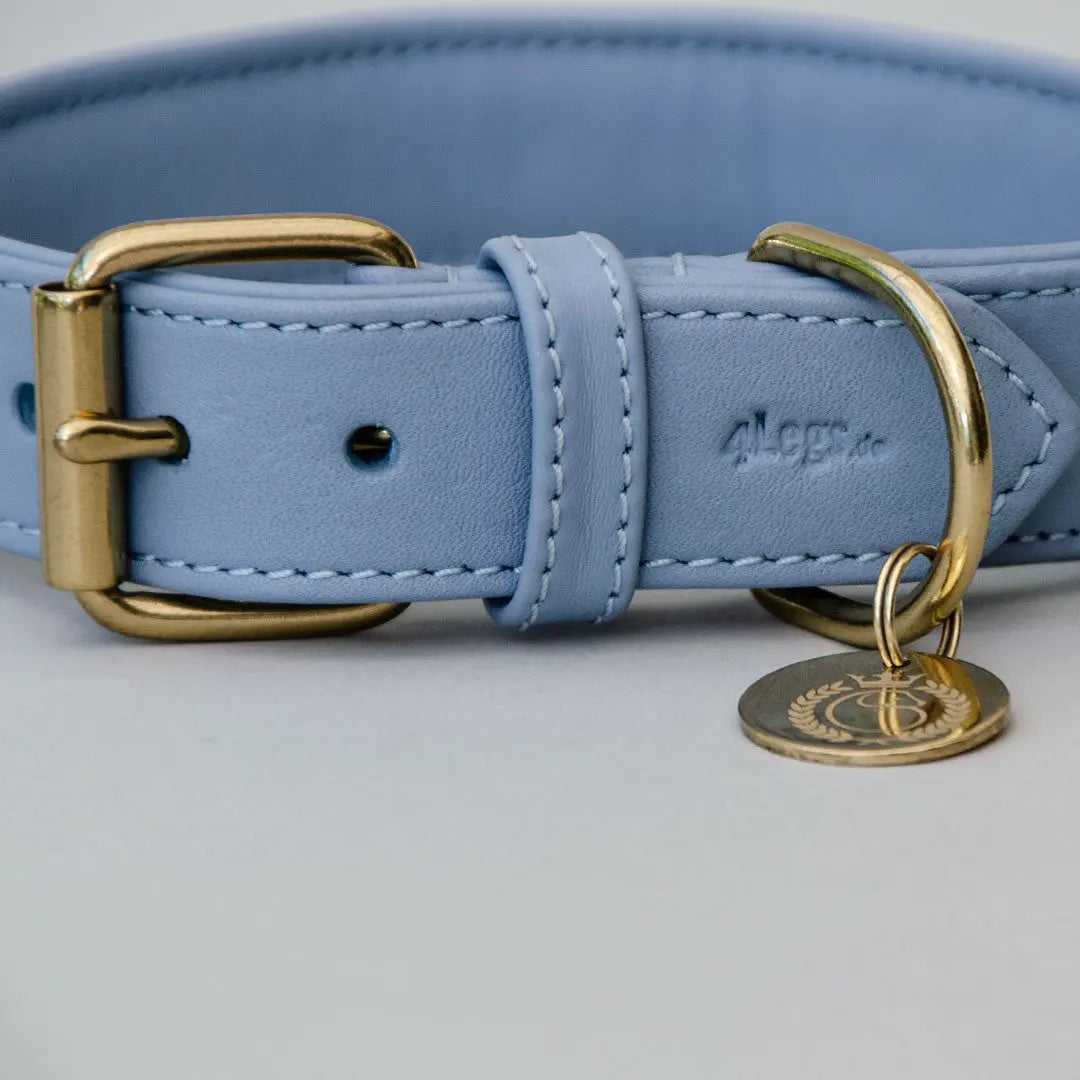 Lederhalsband mit Polsterung "Heart of Gold" - bleu 4legs.de