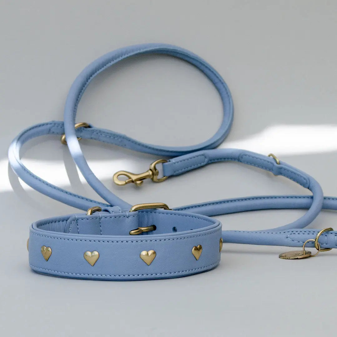 Lederhalsband mit Polsterung "Heart of Gold" - bleu 4legs.de