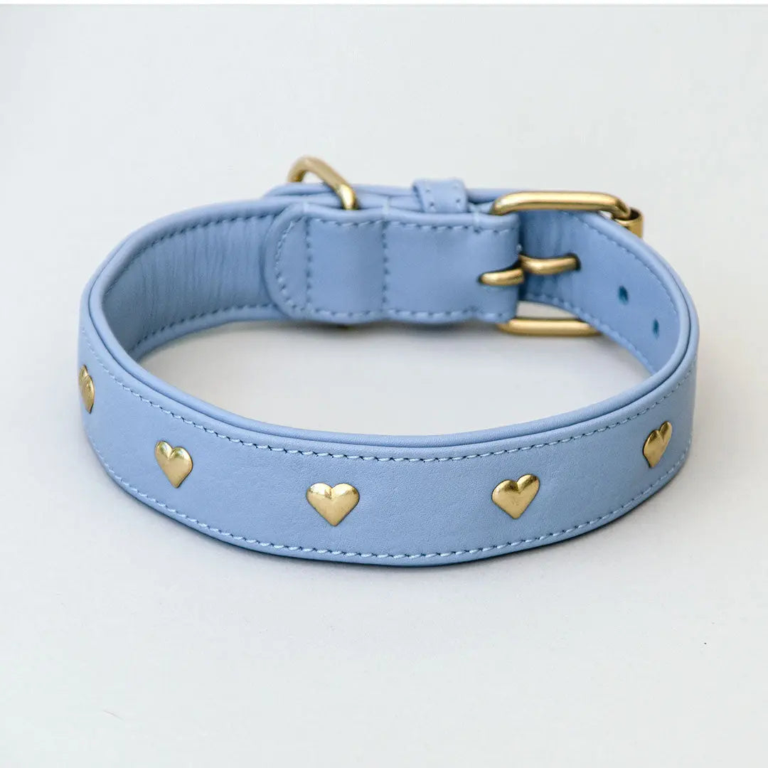 Lederhalsband mit Polsterung "Heart of Gold" - bleu 4legs.de