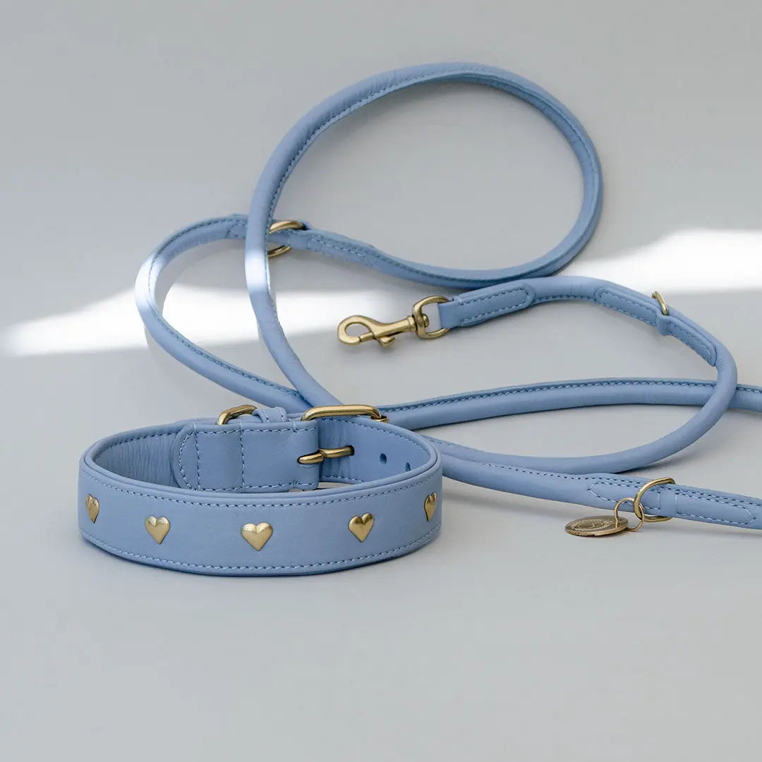 Lederhalsband mit Polsterung "Heart of Gold" - bleu 4legs.de