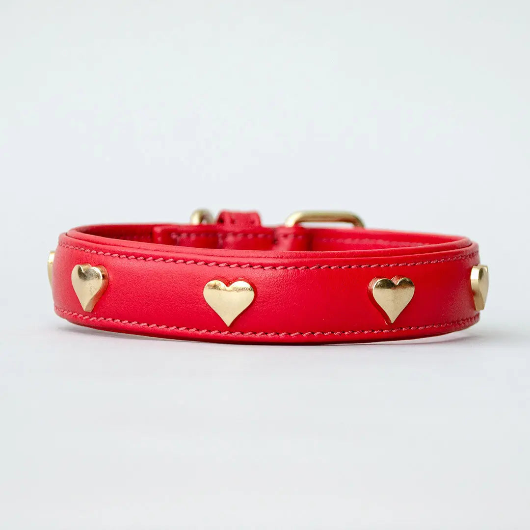 Lederhalsband mit Polsterung "Heart of Gold" - rot 4legs.de