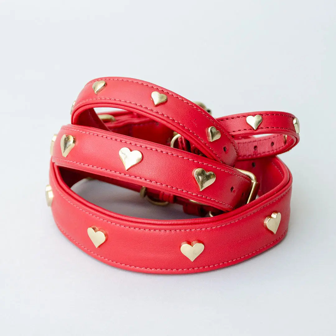 Lederhalsband mit Polsterung "Heart of Gold" - rot 4legs.de