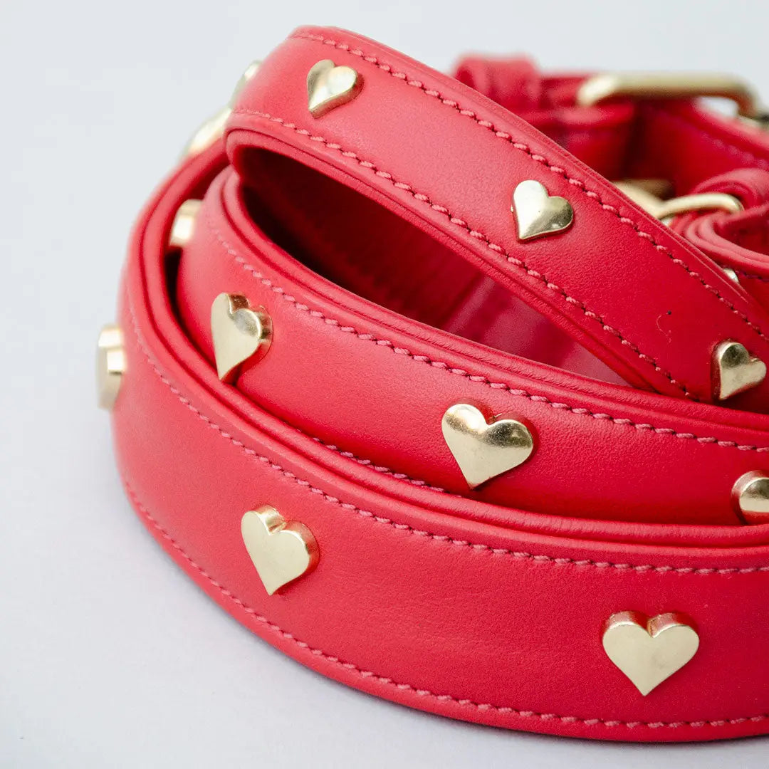 Lederhalsband mit Polsterung "Heart of Gold" - rot 4legs.de