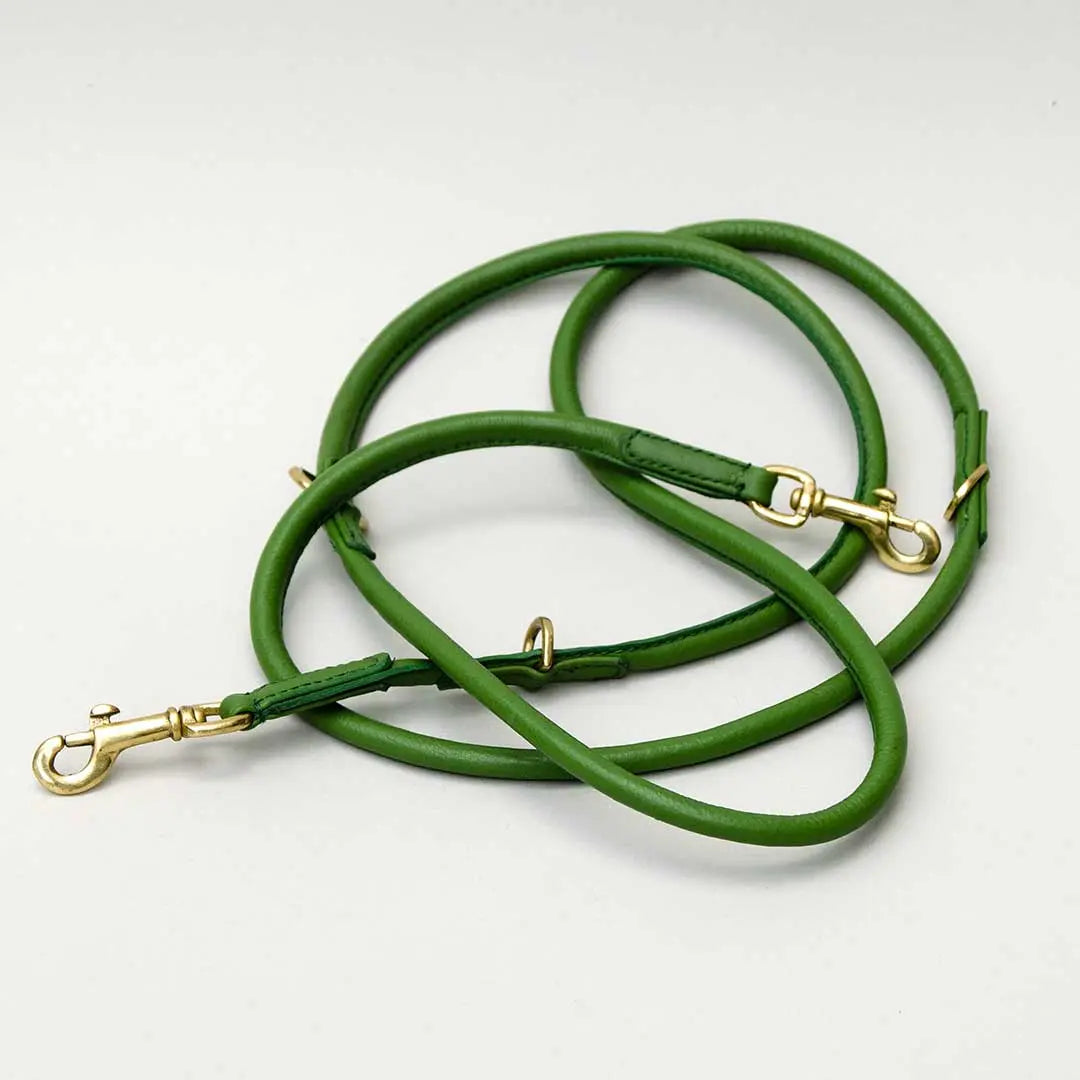 Nappa Hundeleine "Eden" - green 4legs.de