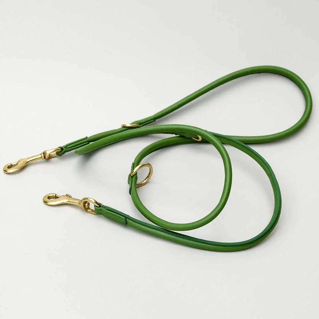 Nappa Hundeleine "Eden" - green 4legs.de