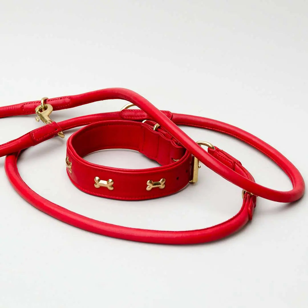 Nappa Hundeleine "Eden" - red 4legs.de