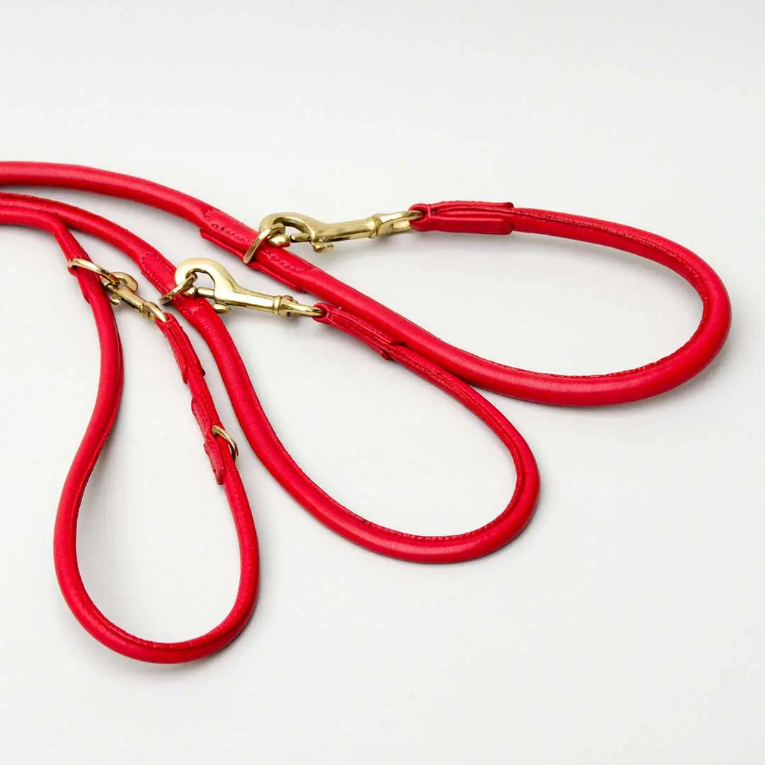 Nappa Hundeleine "Eden" - red 4legs.de