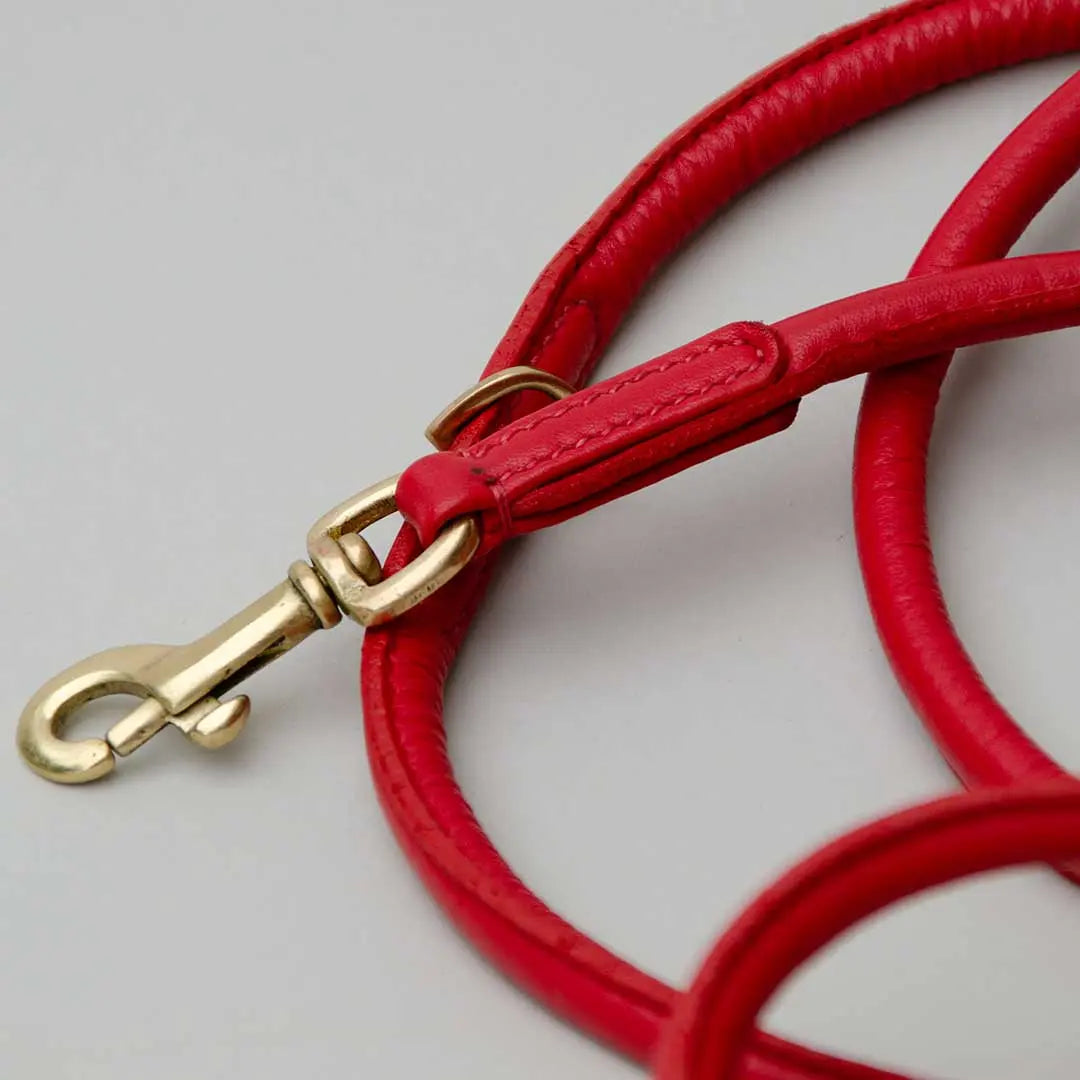 Nappa Hundeleine "Eden" - red 4legs.de