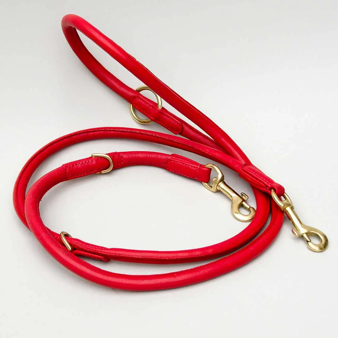 Nappa Hundeleine "Eden" - red 4legs.de