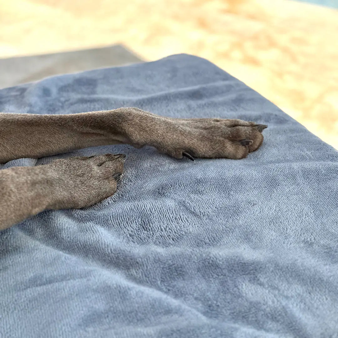 "Nikki-Towel" - das Luxus Handtuch für Hunde 4legs.de