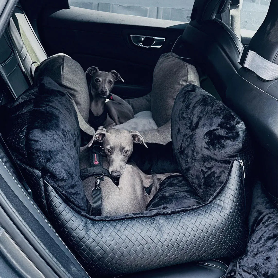 Premium Autositz für Hunde – „Black Magic“ 4legs.de