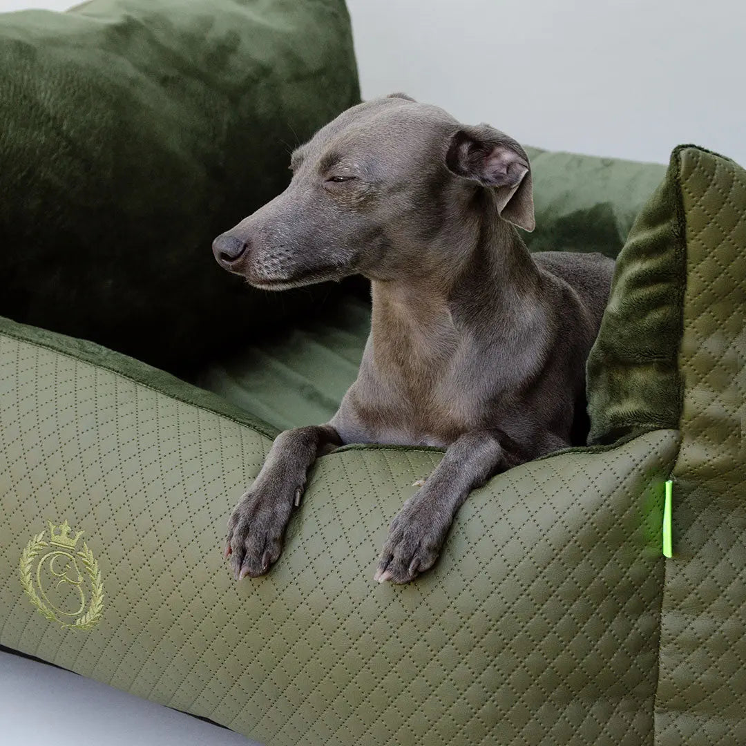 Premium Hundebett "Cocoon MAX" 4legs.de