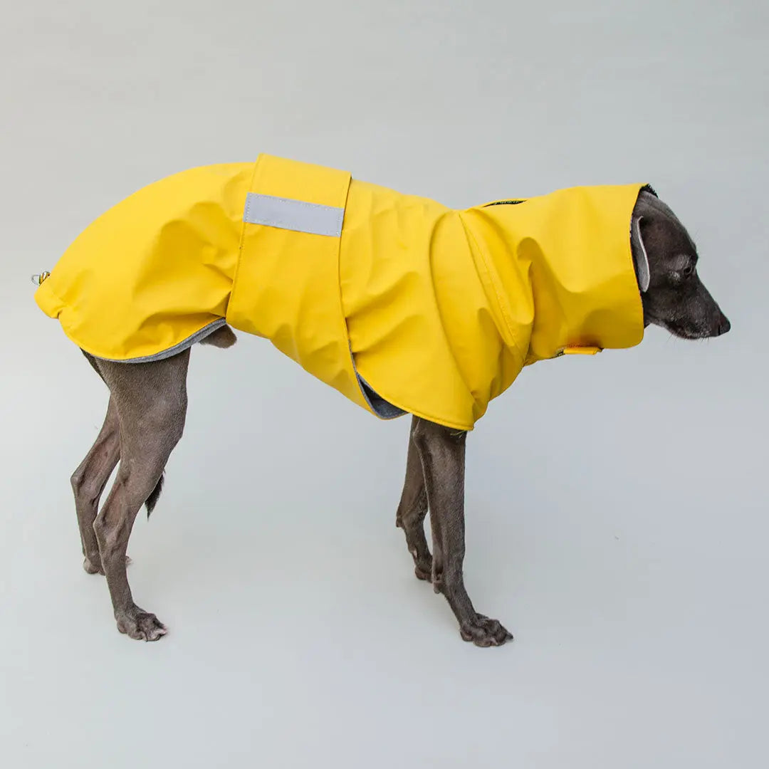 Regenmantel für Hunde "Safe From Rain" yellow 4legs.de