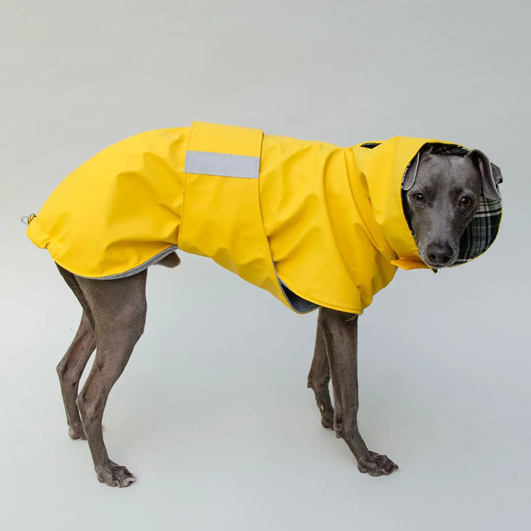 Regenmantel für Hunde "Safe From Rain" yellow 4legs.de