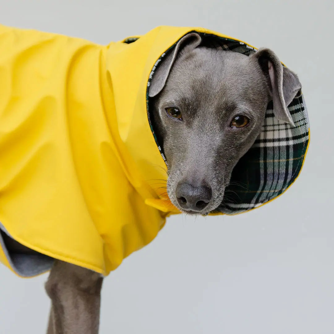 Regenmantel für Hunde "Safe From Rain" yellow 4legs.de