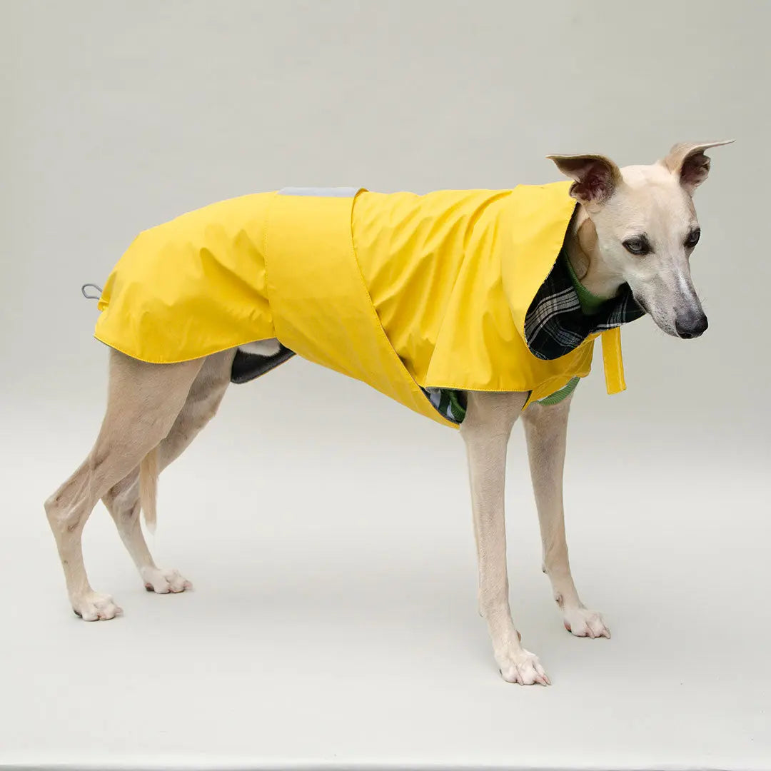 Regenmantel für Hunde "Safe From Rain" yellow 4legs.de