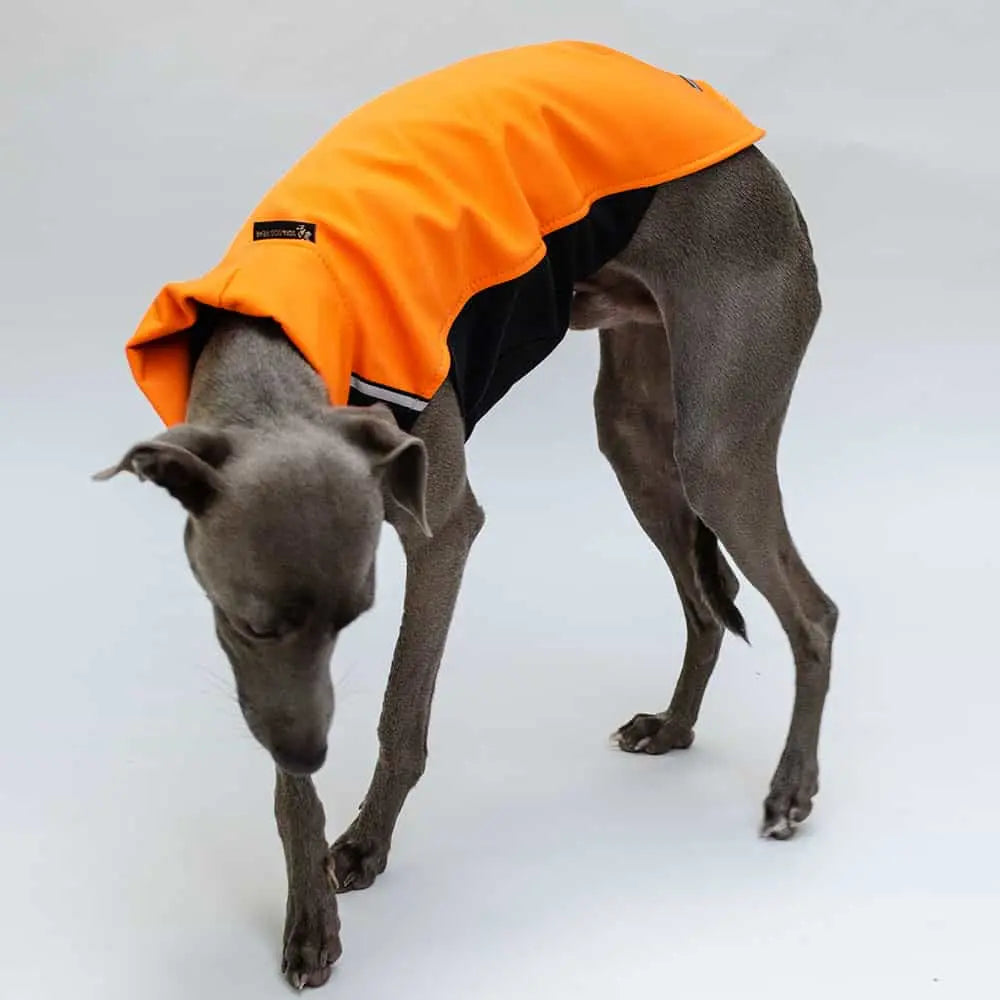 Softshell Hunde-Pullover - „Hachico Vol. 2“ - red 4legs.de