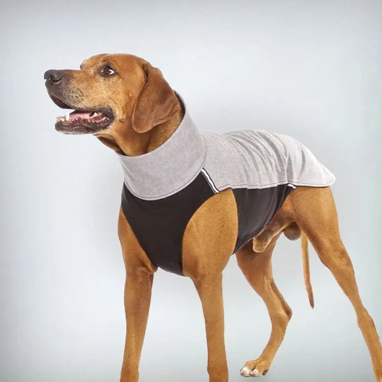 Ebenso wie der Vorreiter, wurde auch dieser Softshell Hundepullover für besonders dynamische Hunde mit athletischer Körperform entworfen.