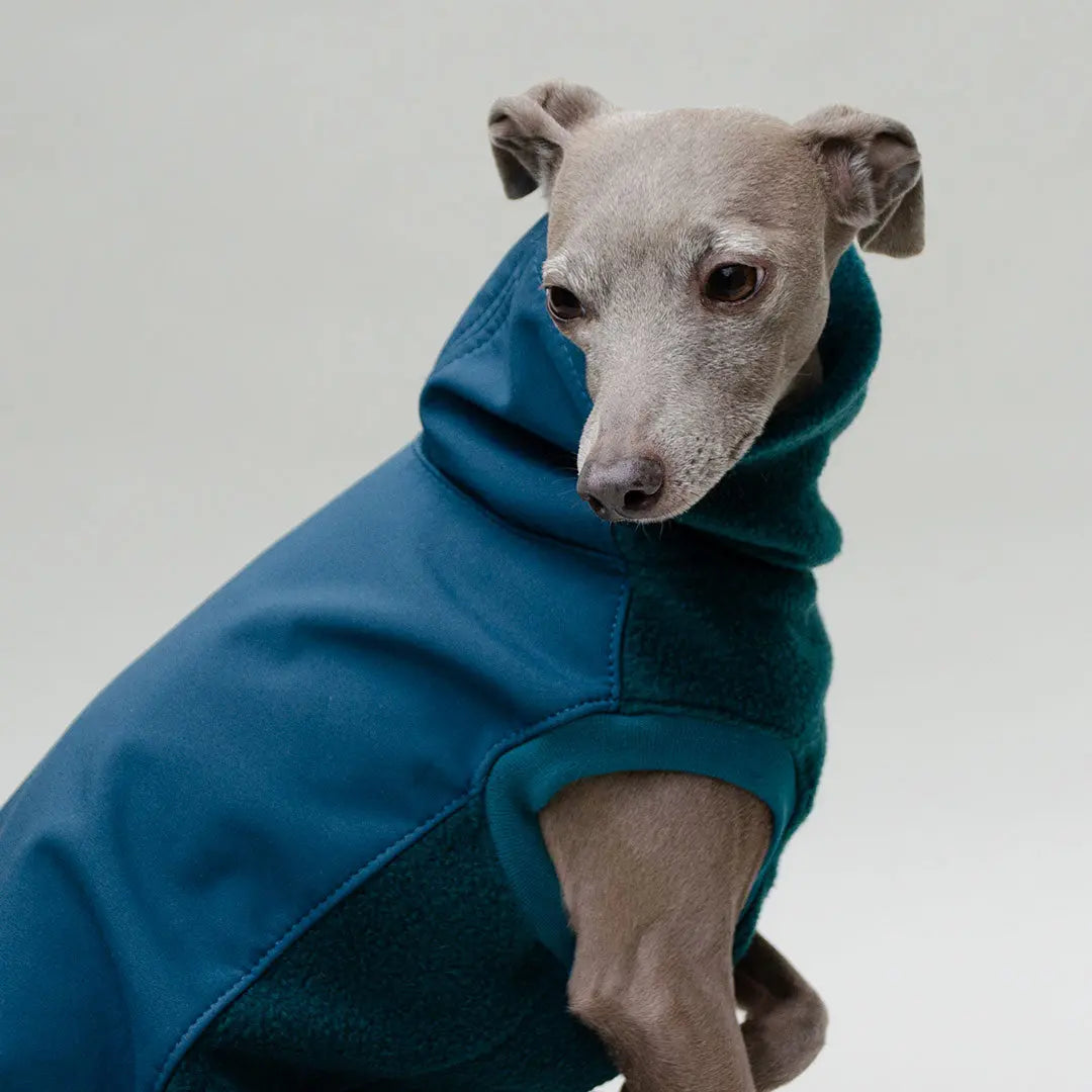 Softshell Hundepullover "Smart" - Petrol 4legs.de