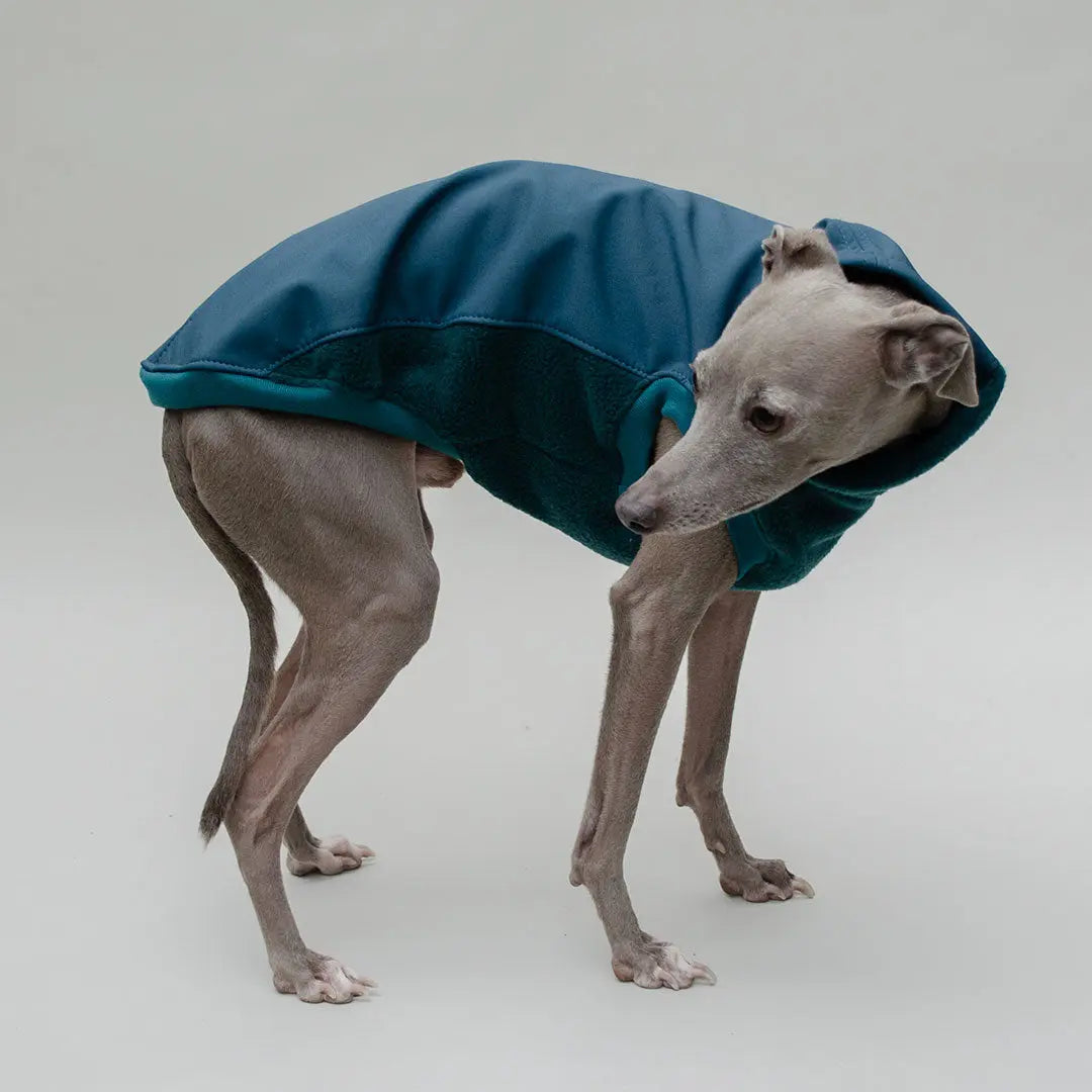 Softshell Hundepullover "Smart" - Petrol 4legs.de