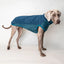 Pull pour chien softshell 