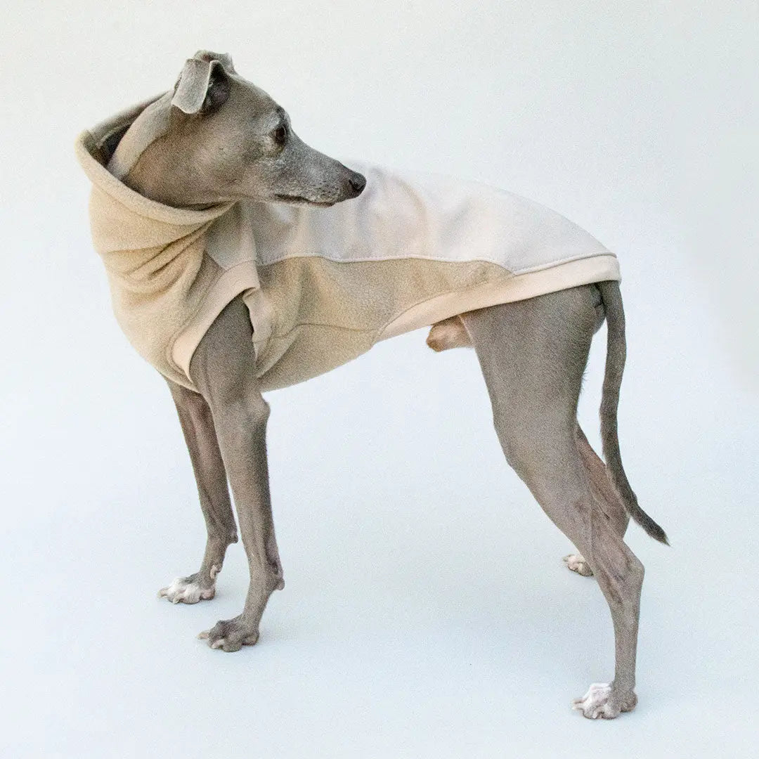 Softshell Hundepullover "Smart" - beige 4legs.de