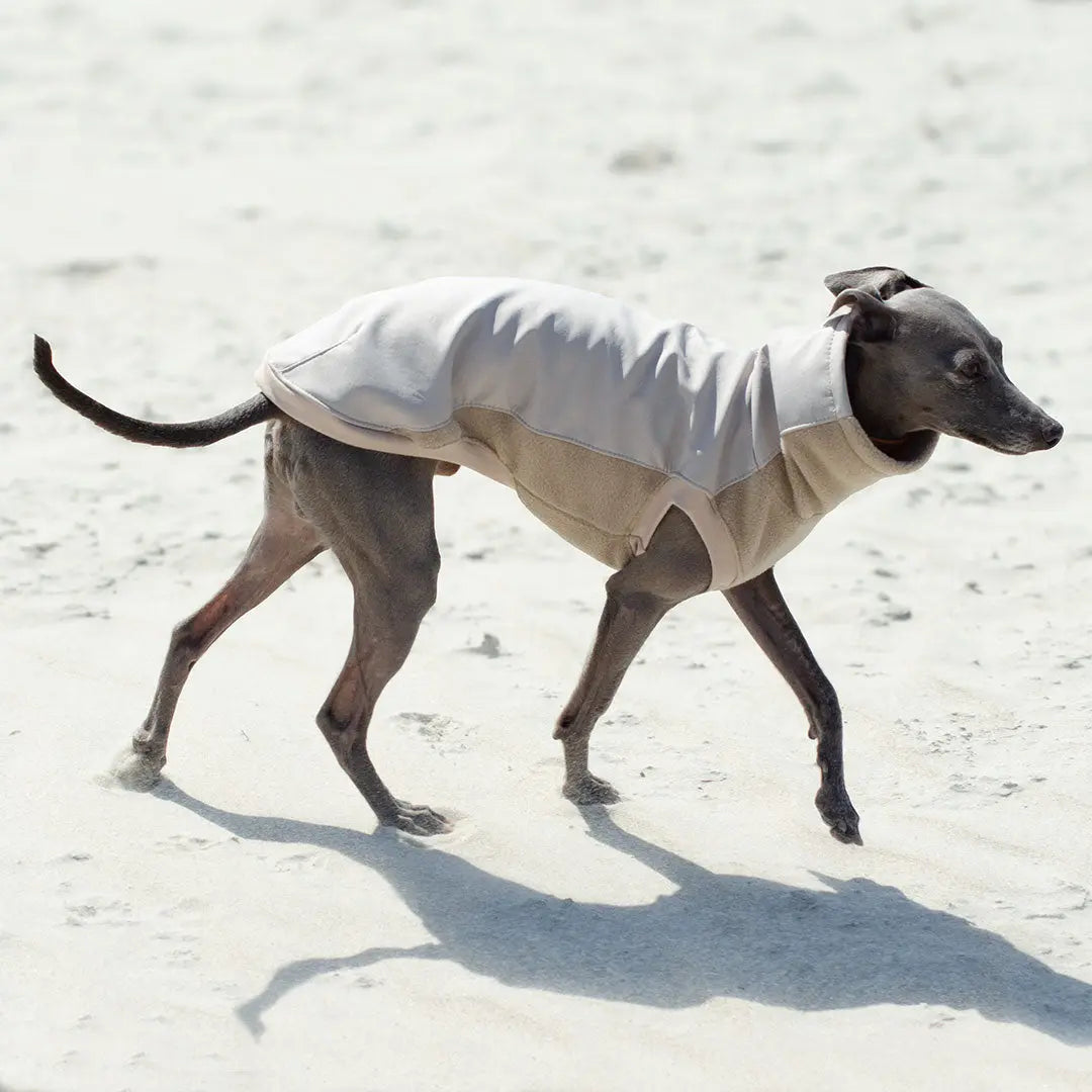 Softshell Hundepullover "Smart" - beige 4legs.de