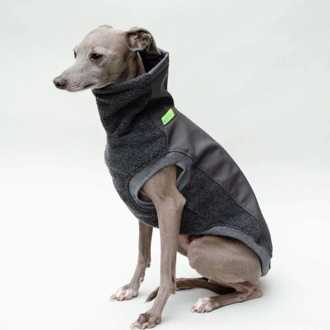 Softshell Hundepullover "Smart" - graphit 4legs.de