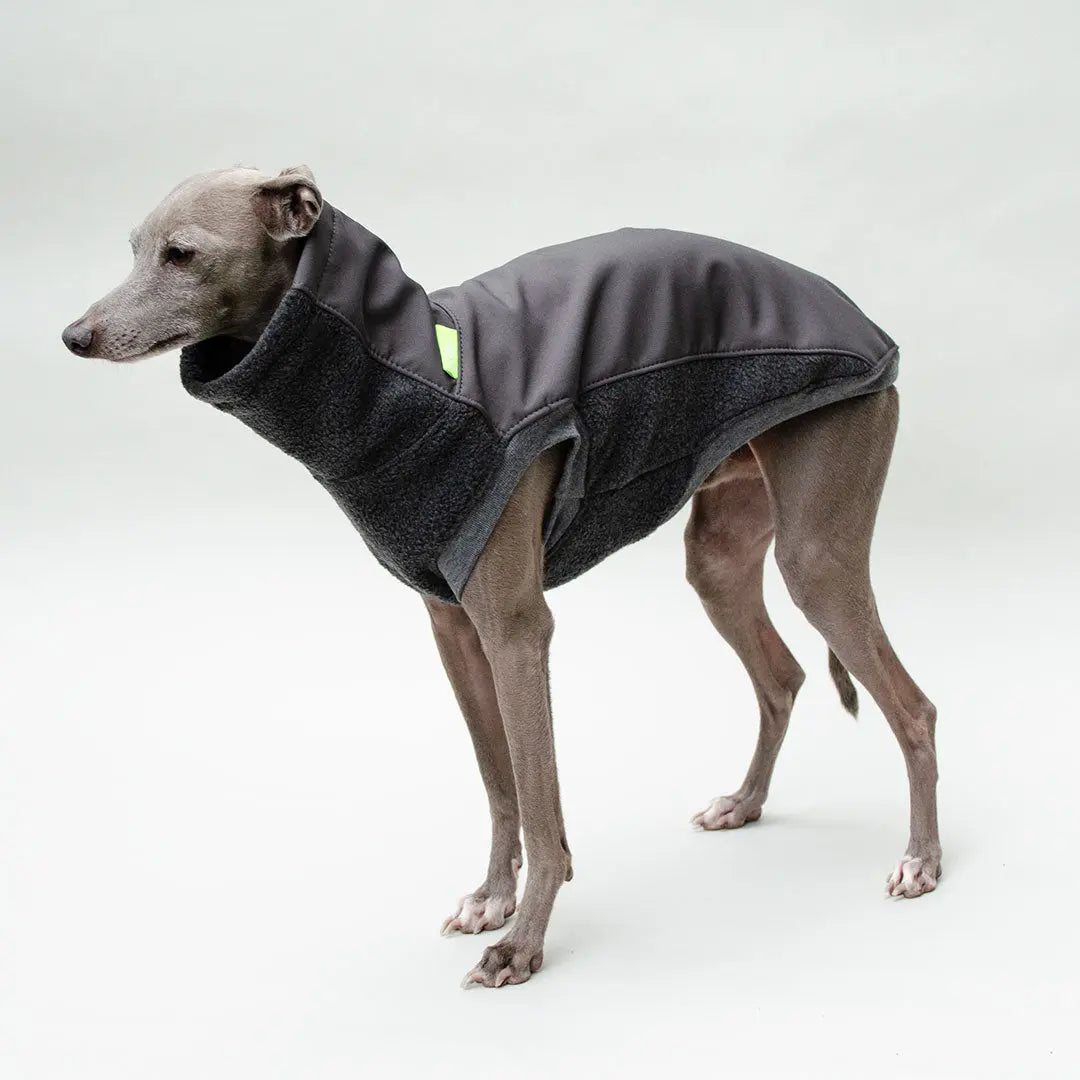 Softshell Hundepullover "Smart" - graphit 4legs.de