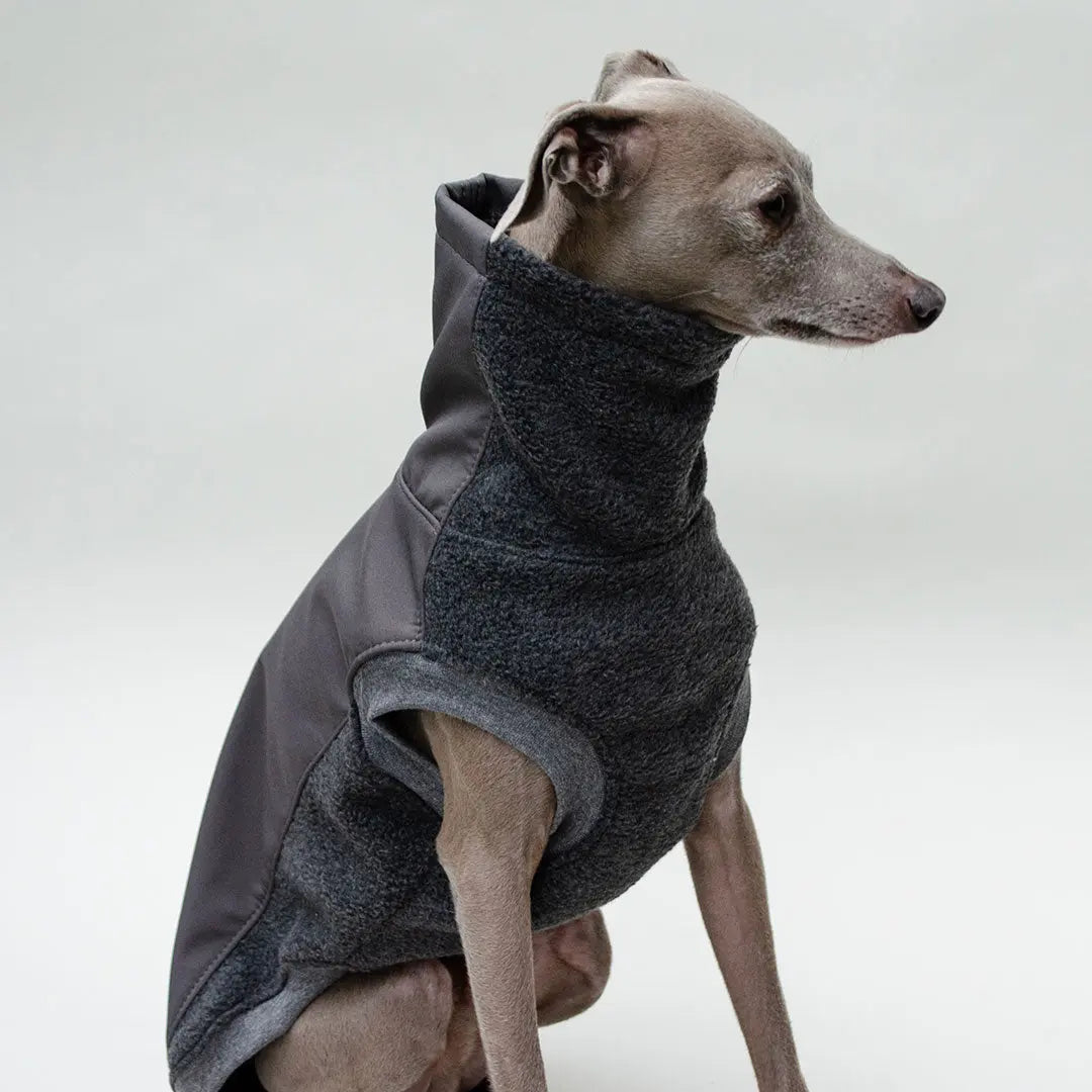 Softshell Hundepullover "Smart" - graphit 4legs.de