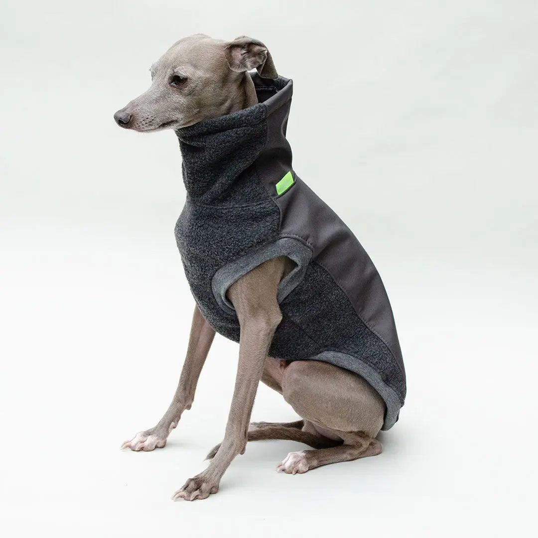 Softshell Hundepullover "Smart" - graphit 4legs.de