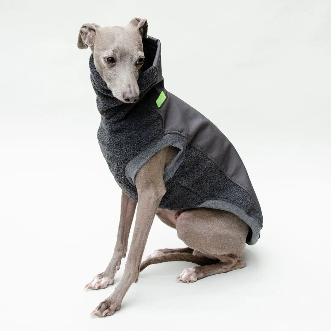 Softshell Hundepullover "Smart" - graphit 4legs.de