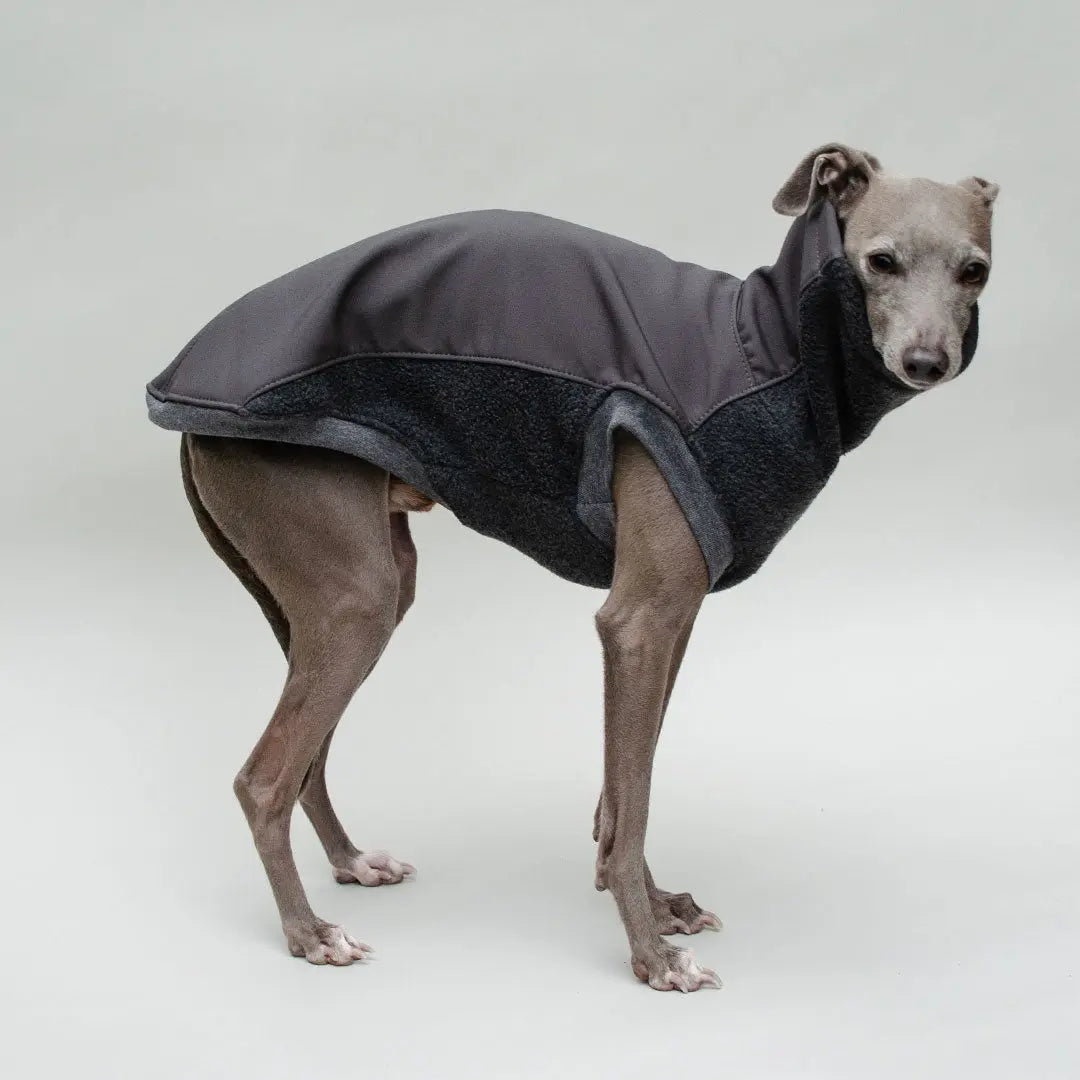 Softshell Hundepullover "Smart" - graphit 4legs.de