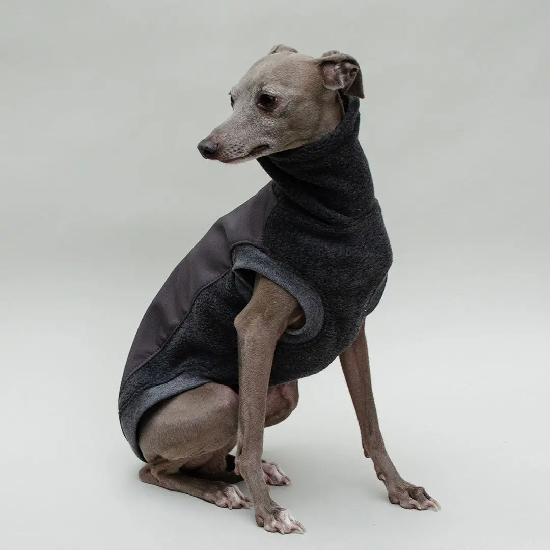 Softshell Hundepullover "Smart" - graphit 4legs.de