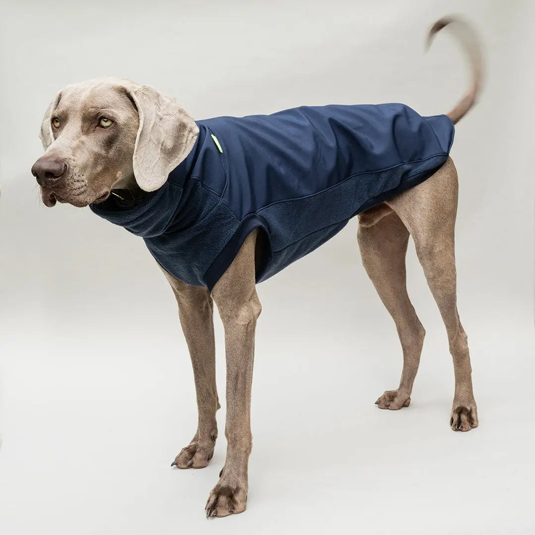 Softshell Hundepullover "Smart" - navy 4legs.de