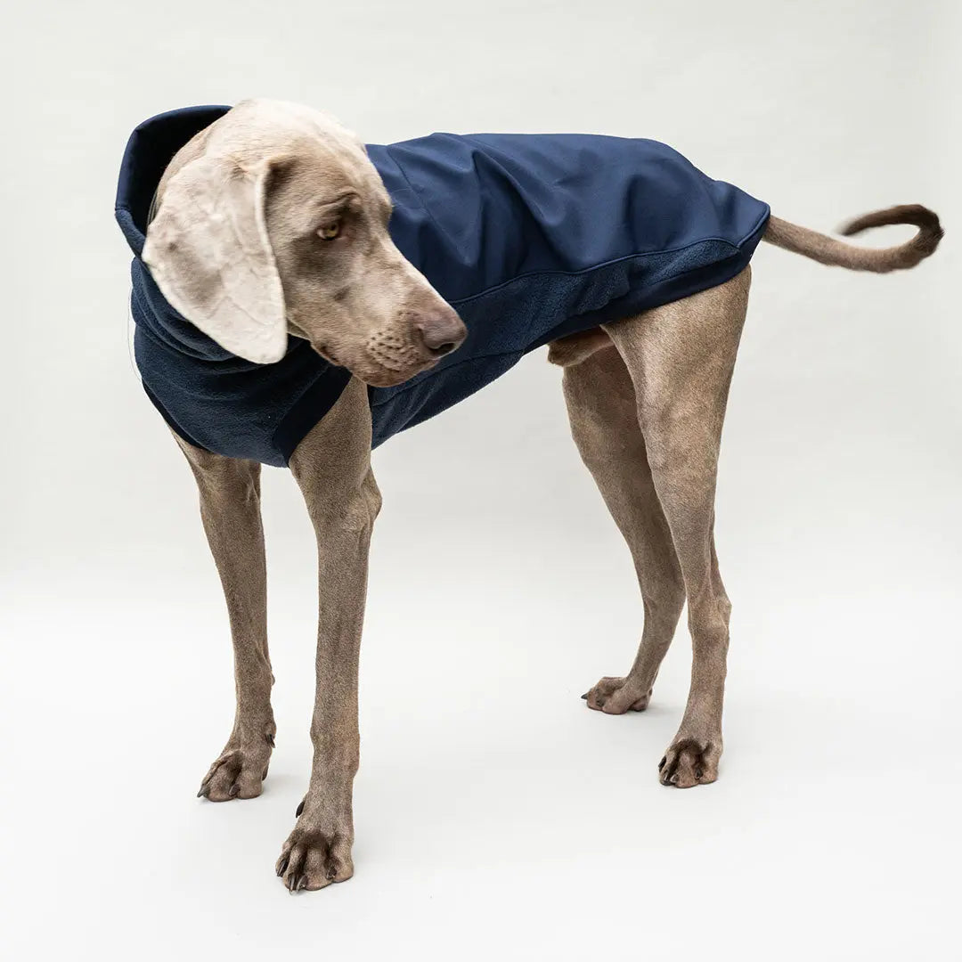 Softshell Hundepullover "Smart" - navy 4legs.de